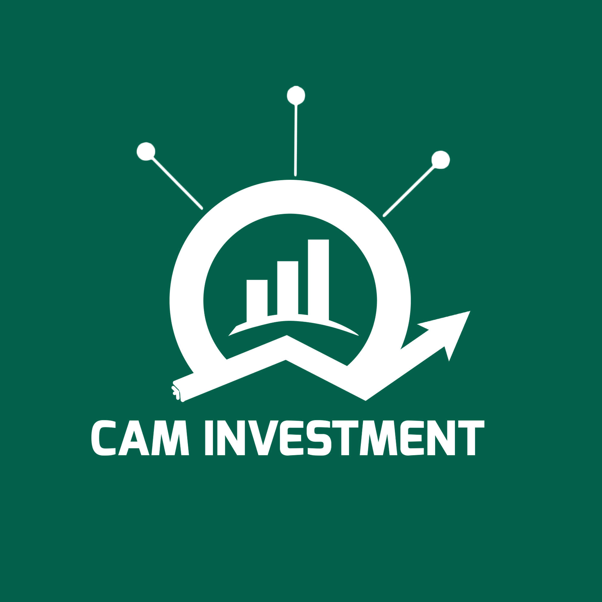 CAM INVESTMENT